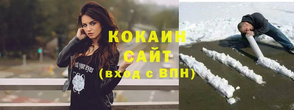 гашик Алексин