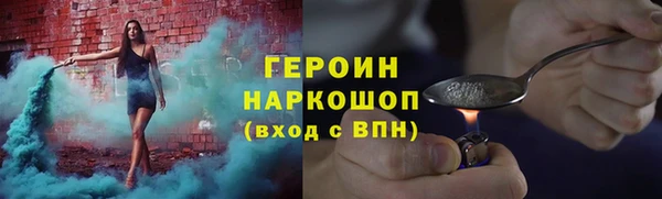 гашик Алексин