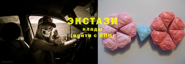 гашик Алексин