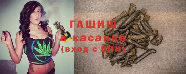 гашик Алексин