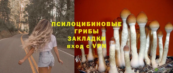 мескалин Нефтегорск
