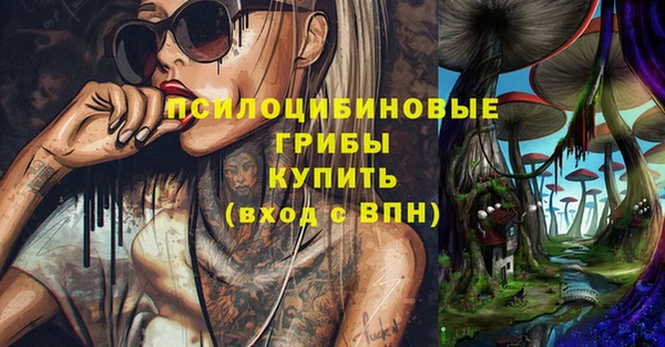 прущие крисы Алзамай