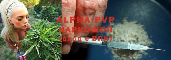 прущие крисы Алзамай
